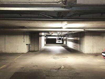 Halle / Lager / Produktion mieten in 1210 Wien (Bild 4)