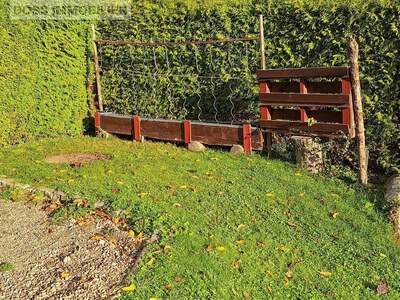 Grundstück mieten in 4491 Dörfl (Bild 3)