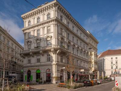 Altbauwohnung mieten in 1010 Wien