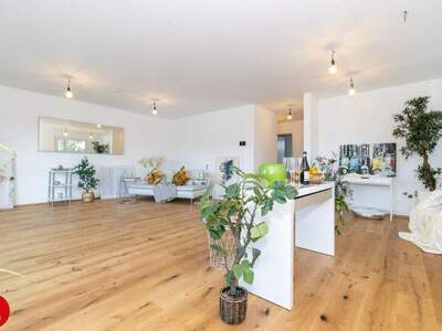 Einfamilienhaus kaufen in 2435 Ebergassing (Bild 3)
