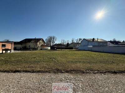 Grundstück kaufen in 4614 Marchtrenk (Bild 2)