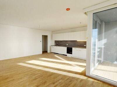 Terrassenwohnung mieten in 1220 Wien (Bild 3)