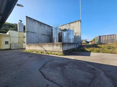 Produktion kaufen in 2413 Berg (Bild 4)