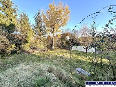 Grundstück kaufen in 4611 Buchkirchen (Bild 2)