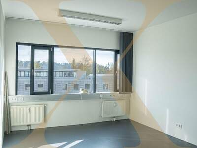 Gewerbeobjekt mieten in 4600 Wels (Bild 1)