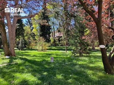 Terrassenwohnung kaufen in 1180 Wien (Bild 4)