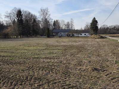 Grundstück kaufen in 8483 Deutsch Goritz (Bild 5)