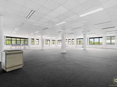 Gewerbeobjekt mieten in 1230 Wien