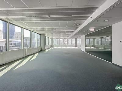 Gewerbeobjekt mieten in 1220 Wien (Bild 3)