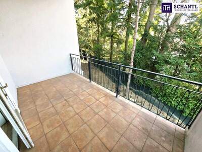 Eigentumswohnung in 1130 Wien (Bild 4)