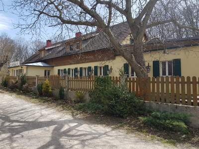 Einfamilienhaus kaufen in 2391 Kaltenleutgeben (Bild 2)
