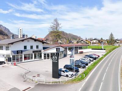 Gewerbeobjekt mieten in 5400 Hallein