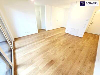 Terrassenwohnung kaufen in 1230 Wien (Bild 1)