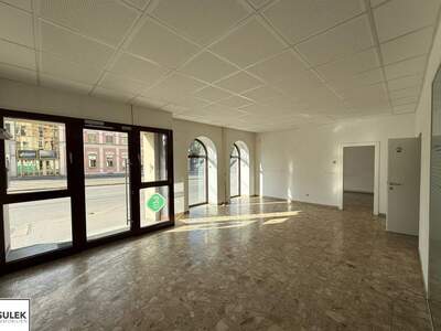 Gewerbeobjekt mieten in 1100 Wien (Bild 4)