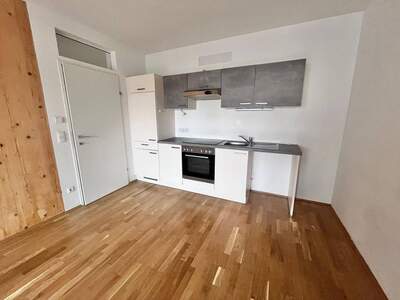 Wohnung mieten in 8020 Graz