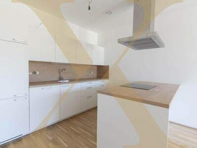 Terrassenwohnung mieten in 4020 Linz (Bild 1)