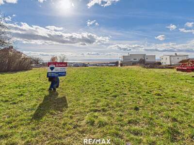 Grundstück kaufen in 7100 Neusiedl (Bild 3)