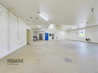 Gewerbeobjekt kaufen in 6942 Krumbach