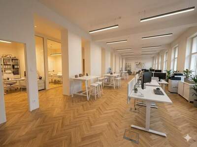 Gewerbeobjekt mieten in 1010 Wien