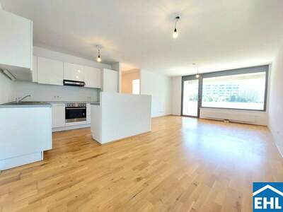 Terrassenwohnung mieten in 1110 Wien (Bild 1)