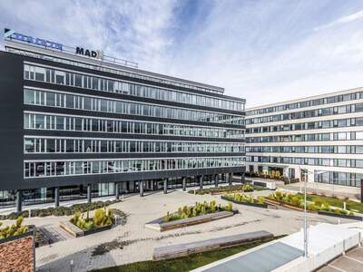 Gewerbeobjekt mieten in 1230 Wien (Bild 2)