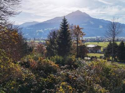 Grundstück kaufen in 6380 Sankt Johann