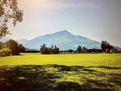 Grundstück provisionsfrei kaufen in 6382 Kirchdorf