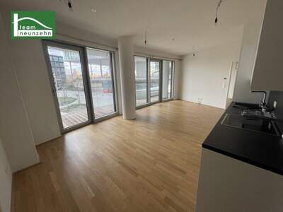 Terrassenwohnung mieten in 1100 Wien (Bild 2)