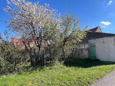 Haus mit Garten kaufen in 7091 Breitenbrunn (Bild 2)
