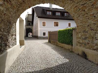 Haus kaufen in 9853 Gmünd