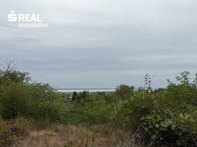 Grundstück kaufen in 7100 Neusiedl