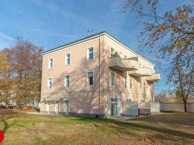 Büro / Praxis mieten in 2320 Schwechat (Bild 2)