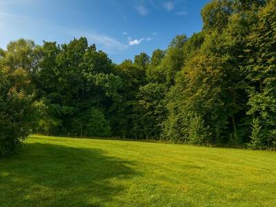 Grundstück kaufen in 3033 Altlengbach (Bild 2)