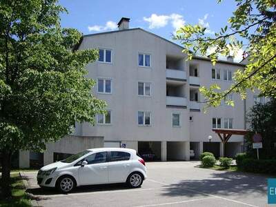 Mietwohnung in 2632 Grafenbach