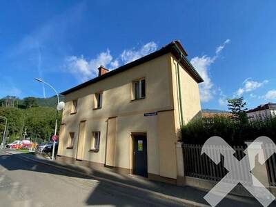 Anlageobjekt kaufen in 8700 Leoben