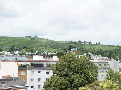 Terrassenwohnung mieten in 1190 Wien (Bild 2)