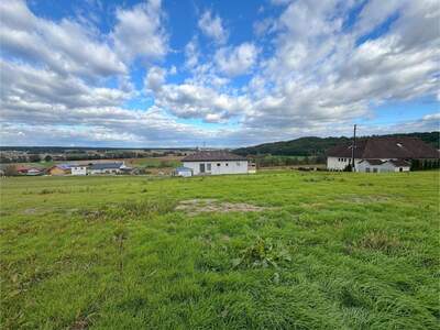 Grundstück kaufen in 7553 Bocksdorf