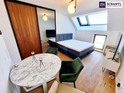 Terrassenwohnung kaufen in 1070 Wien (Bild 4)