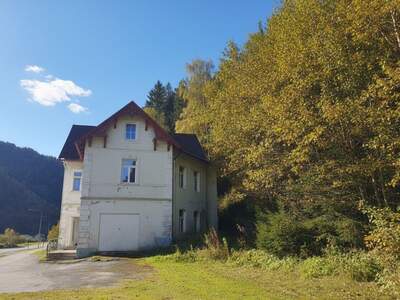 Haus kaufen in 8664 Veitsch (Bild 4)