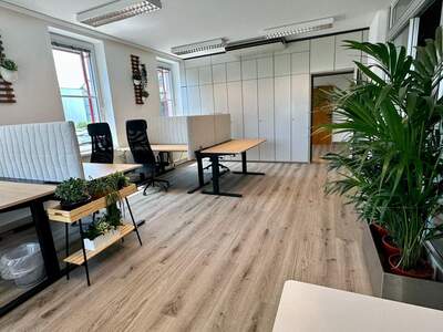 Gewerbeobjekt mieten in 4210 Gallneukirchen (Bild 4)