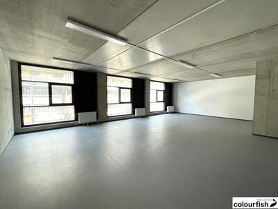 Gewerbeobjekt mieten in 1220 Wien (Bild 1)