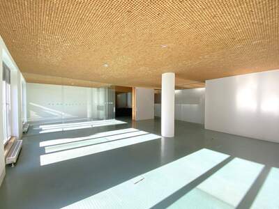 Gewerbeobjekt mieten in 5020 Salzburg (Bild 3)