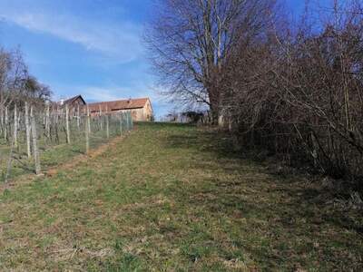 Gewerbeobjekt kaufen in 8342 Gnas (Bild 1)