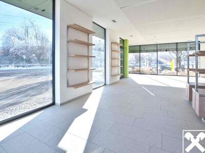 Gewerbeobjekt mieten in 4845 Rutzenmoos (Bild 4)