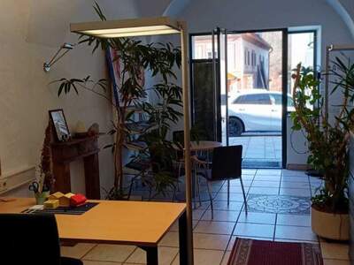 Gewerbeobjekt kaufen in 8650 Kindberg (Bild 3)