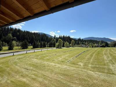 Grundstück kaufen in 6363 Westendorf