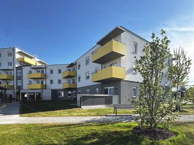 Terrassenwohnung mieten in 2700 Wr. Neustadt (Bild 4)