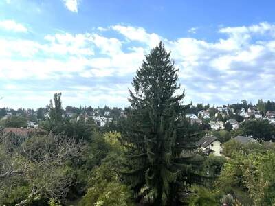 Grundstück kaufen in 1130 Wien (Bild 3)