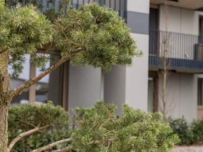 Eigentumswohnung in 2481 Achau