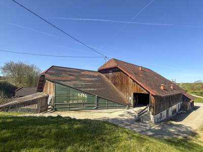 Grundstück kaufen in 4851 Piesdorf